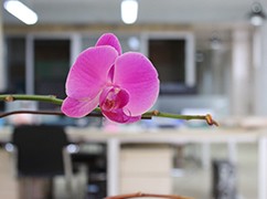 ����һ��